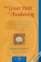 Capa do artigo The Great Path Of Awakening
