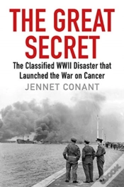 Capa do artigo The Great Secret