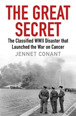 Capa do artigo The Great Secret