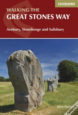 Capa do artigo The Great Stones Way
