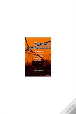 Capa do artigo The Great Surprise Of The Small Transformation