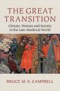 The Great Transition - Preview