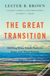 Capa do artigo The Great Transition