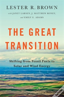 Capa do artigo The Great Transition