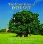 The Great Trees Of Dorset - Preview