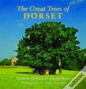 Capa do artigo The Great Trees Of Dorset