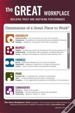 Capa do artigo The Great Workplace