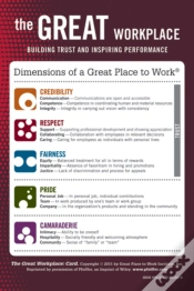 Capa do artigo The Great Workplace