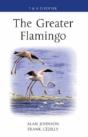 The Greater Flamingo - Preview