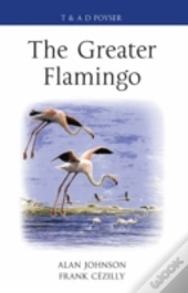 The Greater Flamingo