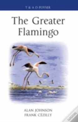 Capa do artigo The Greater Flamingo