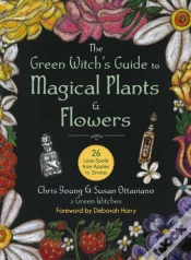 Capa do artigo The Green Witch