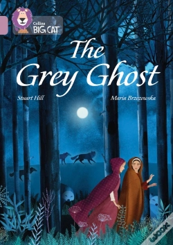 Capa do artigo The Grey Ghost