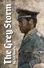The Grey Storm - Preview