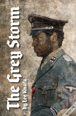 Capa do artigo The Grey Storm