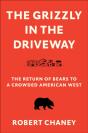 The Grizzly In The Driveway - Preview