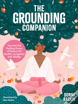 Capa do artigo The Grounding Companion