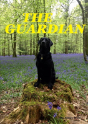 The Guardian - Preview