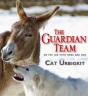 The Guardian Team - Preview