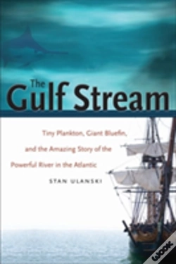 Capa do artigo The Gulf Stream