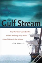 Capa do artigo The Gulf Stream