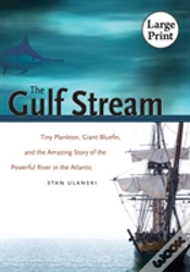 Capa do artigo The Gulf Stream