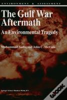 The Gulf War Aftermath