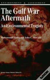 The Gulf War Aftermath