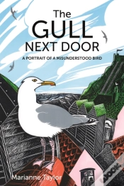 Capa do artigo The Gull Next Door