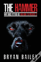 Capa do artigo The Hammer
