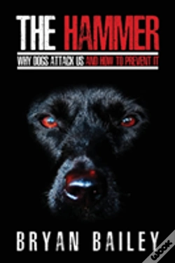 Capa do artigo The Hammer