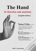 The Hand - Its Function And Anatomy