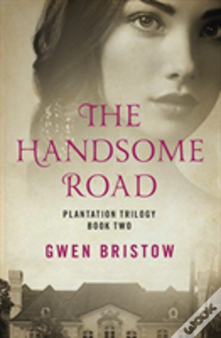 The Handsome Road