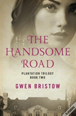 Capa do artigo The Handsome Road