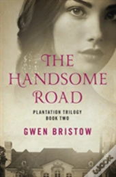The Handsome Road