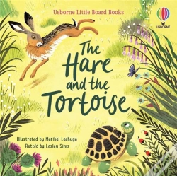 Capa do artigo The Hare And The Tortoise