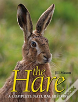 The Hare