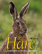 The Hare - Preview