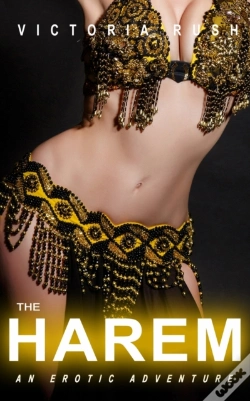 Capa do artigo The Harem