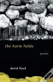 Capa do artigo The Harm Fields