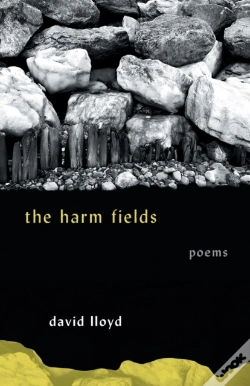 Capa do artigo The Harm Fields