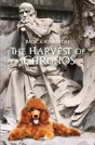 The Harvest Of Chronos - Preview