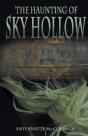 The Haunting Of Sky Hollow - Preview