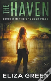 Capa do artigo The Haven
