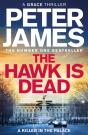 The Hawk Is Dead - Preview
