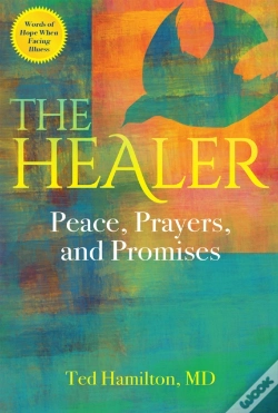 Capa do artigo The Healer