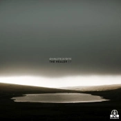 Capa do artigo The Healer - Vinil