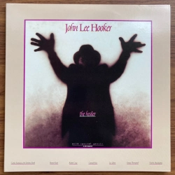 Capa do artigo The Healer - Vinil