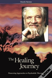 Capa do artigo The Healing Journey (2nd Edition)