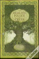 The Healing Power Of Trees